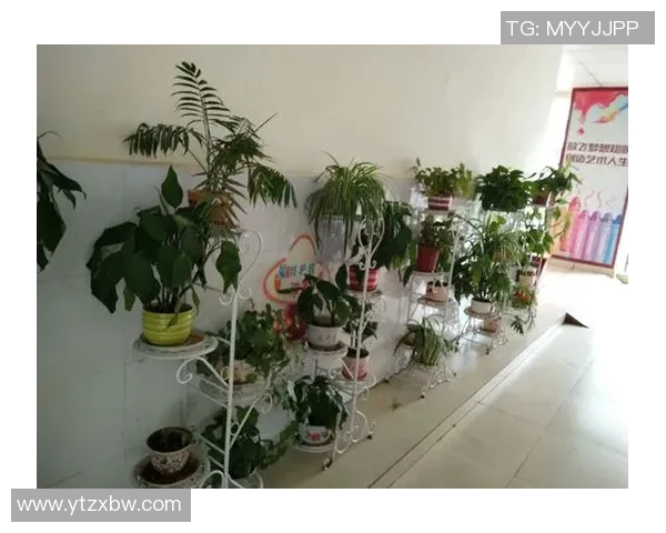 大足海棠小学足球明星崭露头角助力校园体育发展新篇章